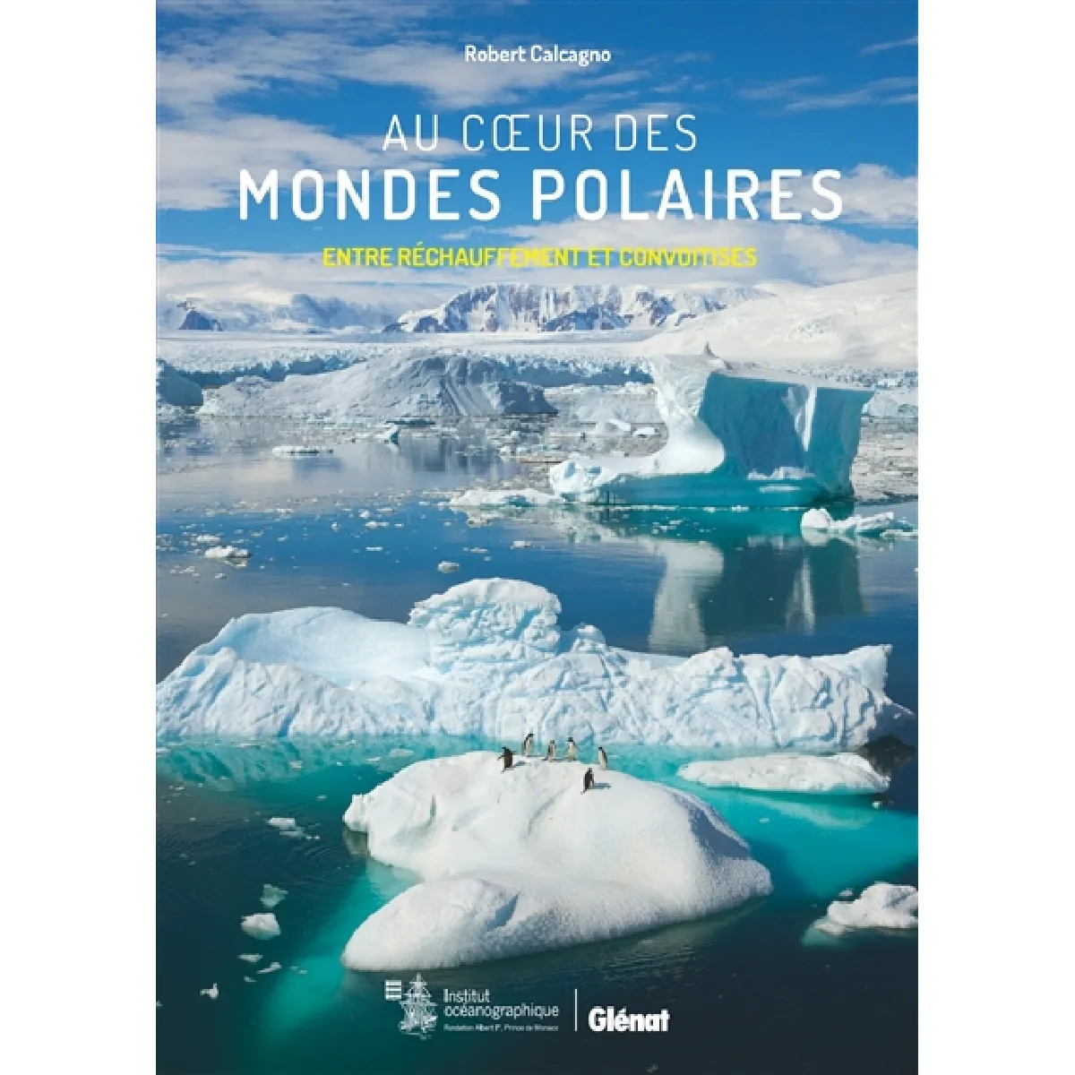Acheter Au coeur des mondes polaires : entre réchauffement et convoitises État correct - 11,80 € Au coeur des mondes polaires : entre réchauffement et convoitises État correct N/A (Il ne s'agit pas d'une marque reconditionné disponible sur Rue du Commerce Seconde Vie