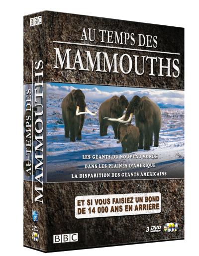 Au temps des Mammouths - Coffret 3 DVD État correct reconditionné disponible sur Fnac