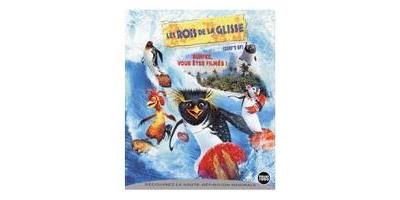 B-ROIS DE LA GLISSE-SURF S UP-VF État correct reconditionné disponible sur Fnac