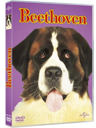 Acheter Beethoven DVD État correct - 16,00 € Beethoven DVD État correct reconditionné disponible sur Fnac