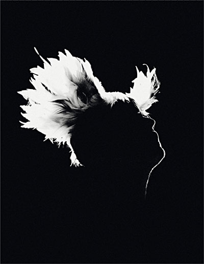 Bercy 17 12 2010 - Edition limitée - Blu-Ray État correct reconditionné disponible sur Fnac