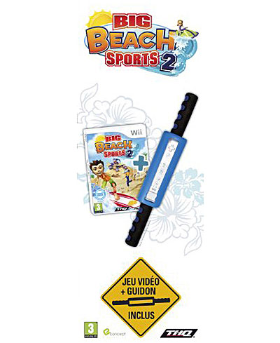 Big Beach Sports 2 + Guidon État correct reconditionné disponible sur Fnac