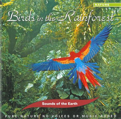 Birds in the Rainforest État correct reconditionné disponible sur Fnac