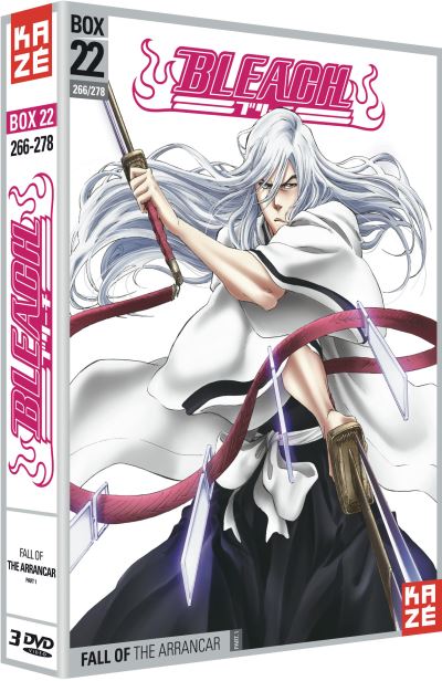 Bleach Saison 5 Partie 22 DVD État correct reconditionné disponible sur Fnac | Dero