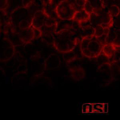 Blood État correct - 19,13 € Blood État correct reconditionné disponible sur Fnac