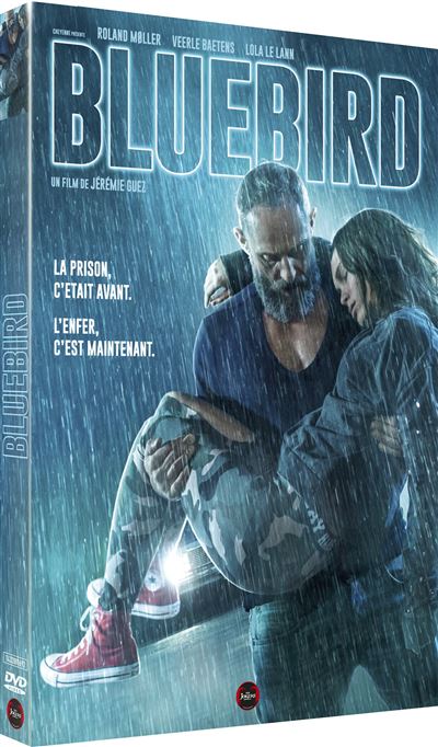 Bluebird DVD État correct reconditionné disponible sur Fnac
