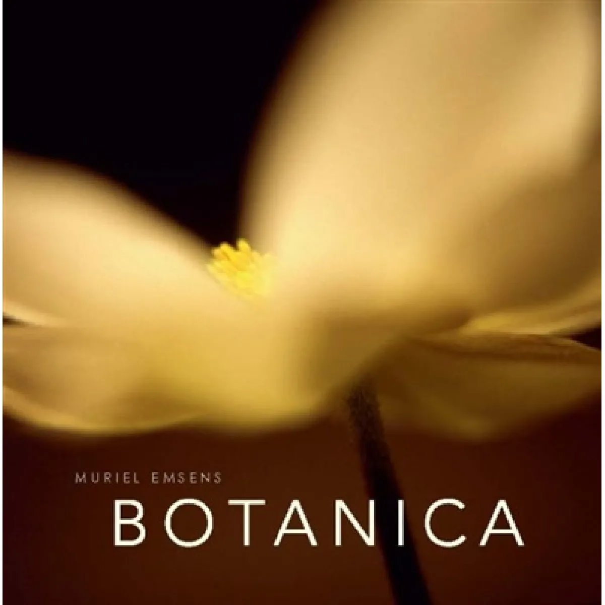 Acheter Botanica : un autre regard sur la nature État correct - 13,48 € Botanica : un autre regard sur la nature État correct N/A (Il ne s'agit pas d'une marque reconditionné disponible sur Rue du Commerce Seconde Vie