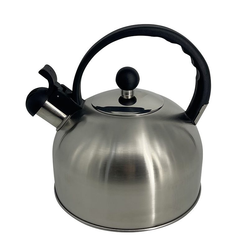 Acheter Bouilloire Sifflet Inox 2.5l Bon état - 12,95 € Bouilloire Sifflet Inox 2.5l Bon état reconditionné disponible sur Electro Depot