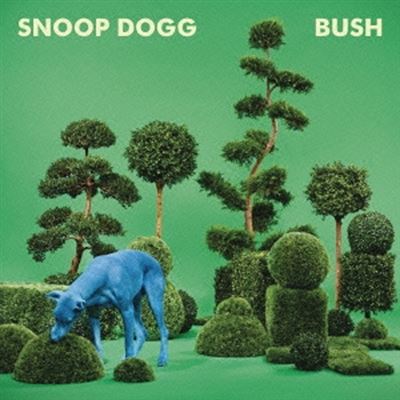 Bush État correct reconditionné disponible sur Fnac