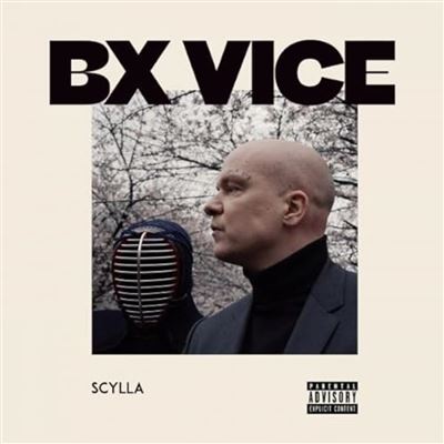 BX Vice État correct reconditionné disponible sur Fnac