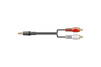 Câble Audio Jack 3,5/RCA Très bon état reconditionné disponible sur Darty