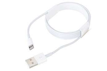 CABLE LIGHTNING VERS USB (MD818ZM/A) Bon état Apple reconditionné disponible sur Darty