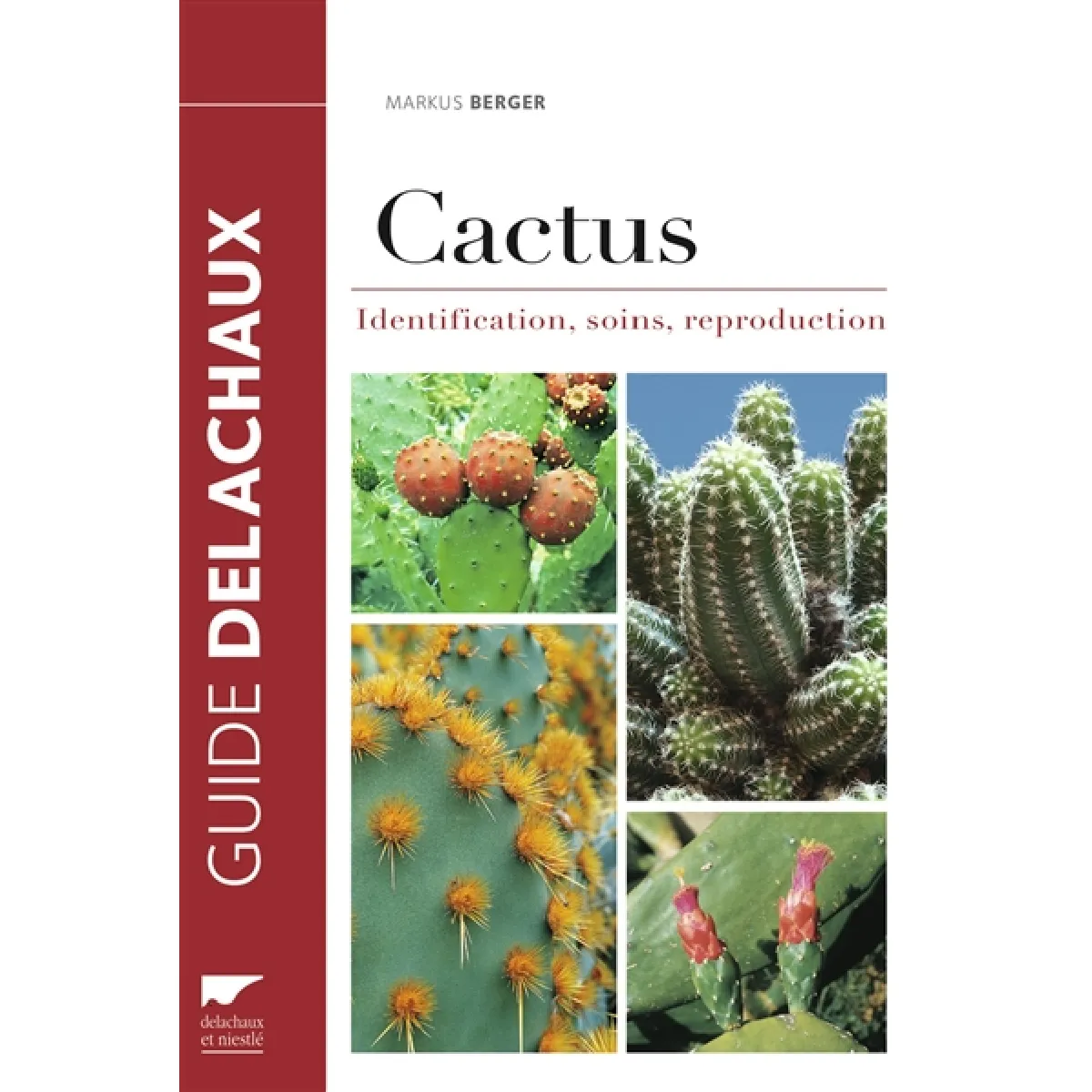 Acheter Cactus : identification, soins, reproduction État correct - 20,27 € Cactus : identification, soins, reproduction État correct N/A (Il ne s'agit pas d'une marque reconditionné disponible sur Rue du Commerce Seconde Vie