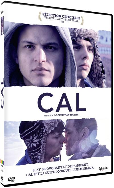 Acheter Cal DVD État correct - 19,00 € Cal DVD État correct reconditionné disponible sur Fnac
