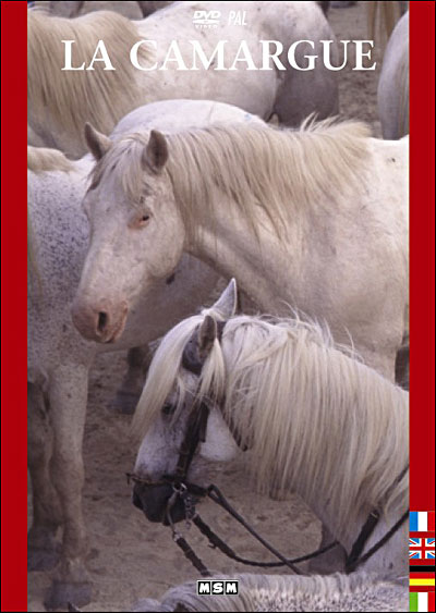 Camargue État correct reconditionné disponible sur Fnac