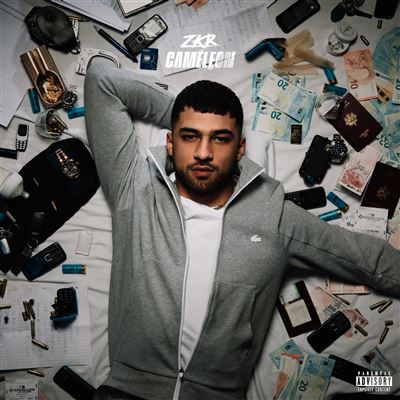 Caméléon État correct reconditionné disponible sur Fnac