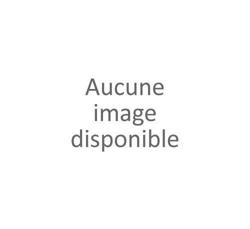 Caméra SPORT EZVIZ S5 PLUS 4K/Ecran 2.5 /Or/Stabilisa/Etanch État correct EZVIZ reconditionné disponible sur Fnac