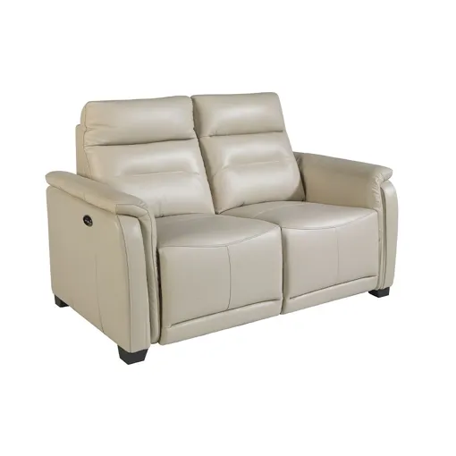 Canapé 2 places en cuir gris et mécanismes de relaxation occasion - 150,00 € Canapé 2 places en cuir gris et mécanismes de relaxation occasion reconditionné disponible sur Rakuten