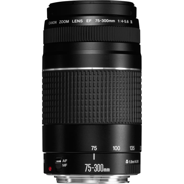Canon Objectif EF 75-300mm f/4-5.6 III - Très bon état Très bon état Canon reconditionné disponible sur Pixmania