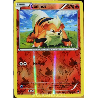 carte Pokémon 10/122 Caninos 70 PV - REVERSE XY - Rupture Turbo NEUF FR État correct reconditionné disponible sur Fnac