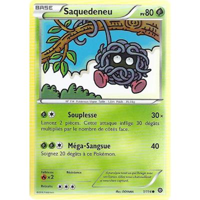 Carte Pokemon - XY11- Offensive vapeur - Saquedeneu - PV 80 - 1/114 - Commune - VF État correct reconditionné disponible sur Fnac