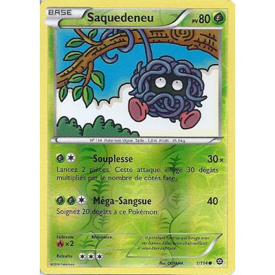 Carte Pokemon - XY11 - Offensive Vapeur - Saquedeneu - PV 80 - 1/114 - Holo Reverse - VF État correct reconditionné disponible sur Fnac