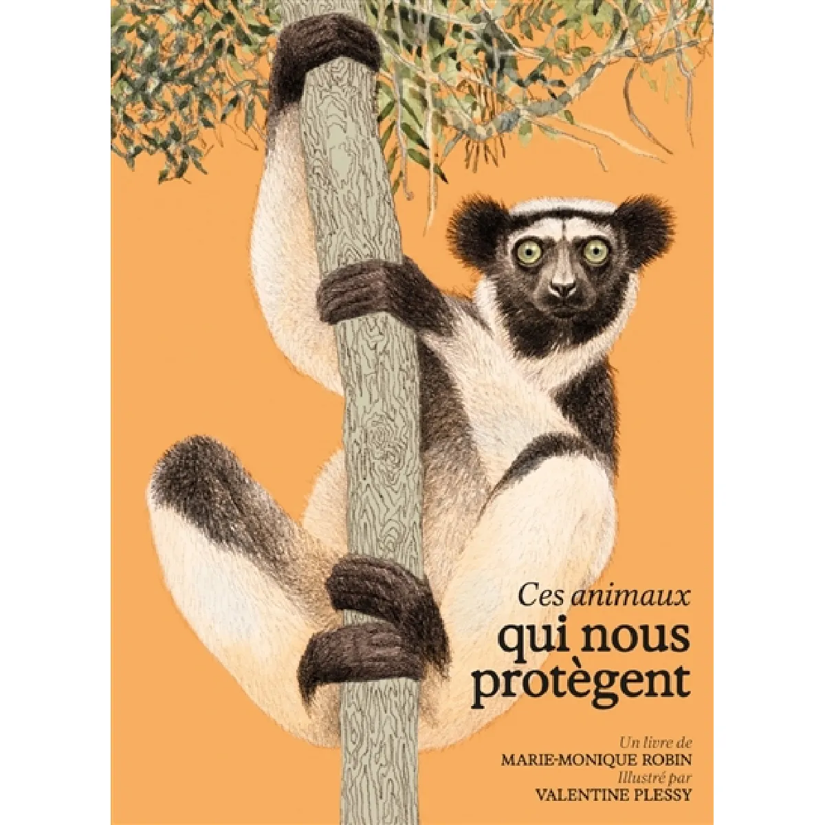 Acheter Ces animaux qui nous protègent État correct - 16,32 € Ces animaux qui nous protègent État correct N/A (Il ne s'agit pas d'une marque reconditionné disponible sur Rue du Commerce Seconde Vie