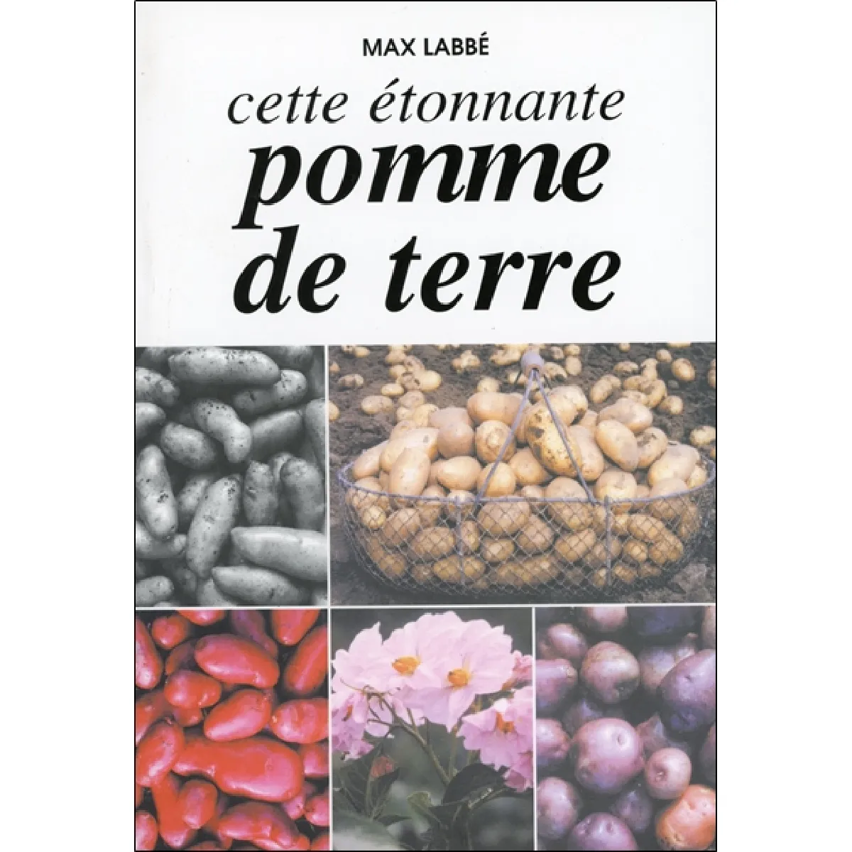 Acheter Cette étonnante pomme de terre : recueil de connaissances et d'expériences, comprenant 200 recettes de cuisine simple État correct - 25,00 € Cette étonnante pomme de terre : recueil de connaissances et d'expériences, comprenant 200 recettes de cuisine simple État correct N/A (Il ne s'agit pas d'une marque reconditionné disponible sur Rue du Commerce Seconde Vie