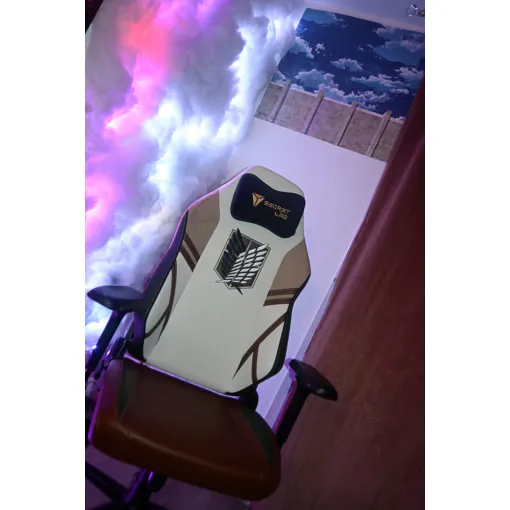 Chaise Secretlab TITAN XL ¿ Édition limitée Attack on Titan + lingettes Levi Bon état reconditionné disponible sur Rakuten
