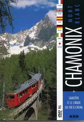 Chamonix Occasion reconditionné disponible sur Ammareal