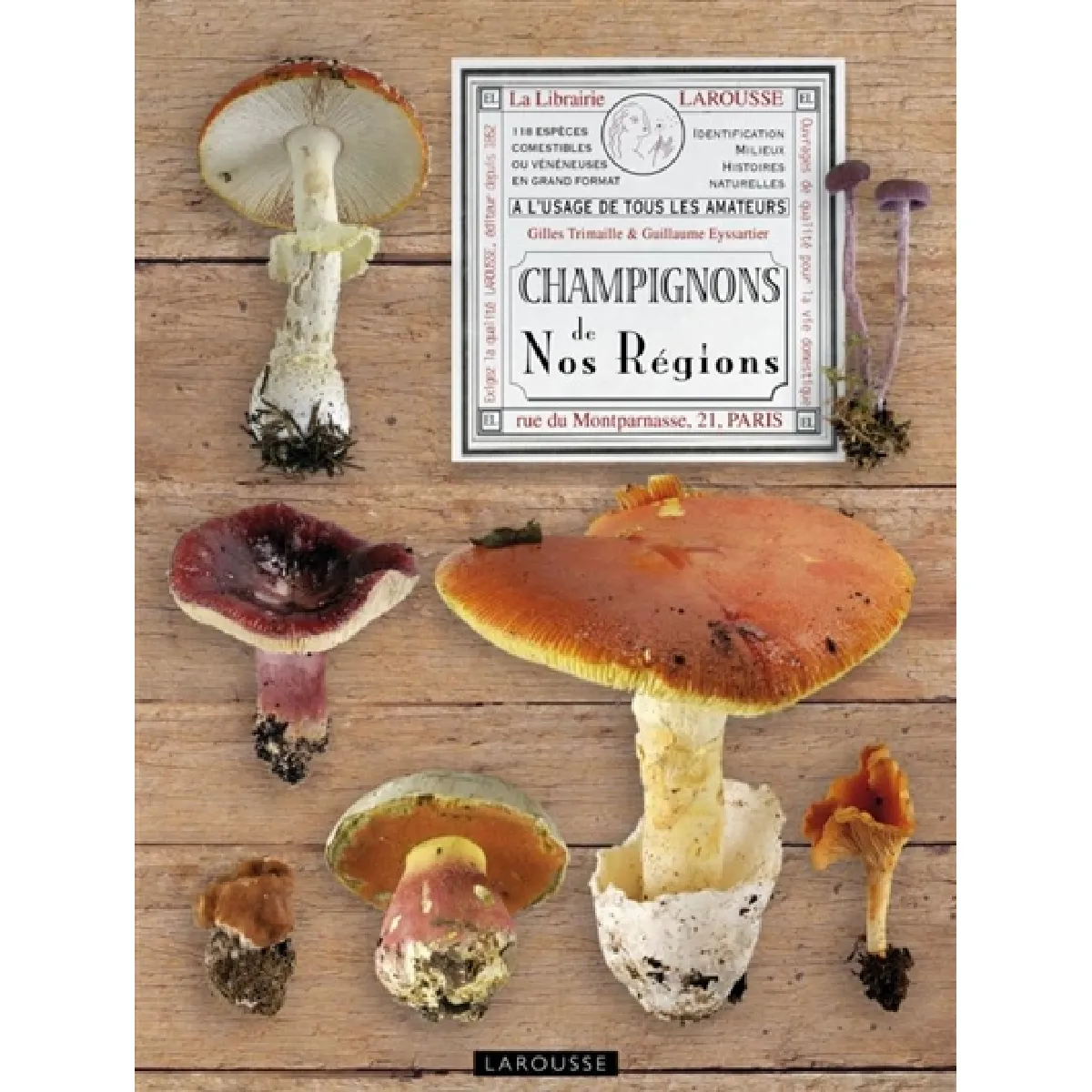 Acheter Champignons de nos régions État correct - 10,12 € Champignons de nos régions État correct N/A (Il ne s'agit pas d'une marque reconditionné disponible sur Rue du Commerce Seconde Vie