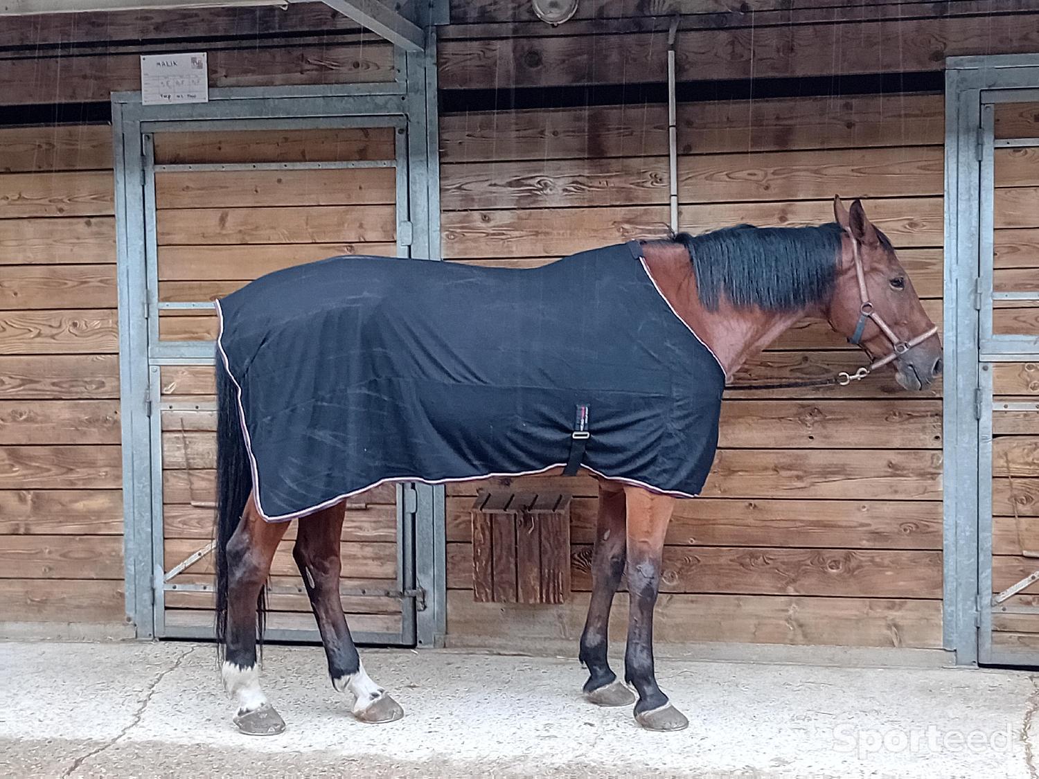 Chemise microfibre Très bon état reconditionné disponible sur Sporteed