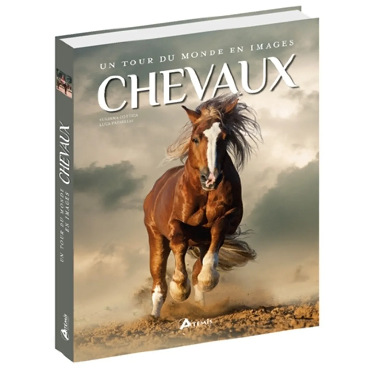 Acheter Chevaux : un tour du monde en images État correct - 23,00 € Chevaux : un tour du monde en images État correct N/A (Il ne s'agit pas d'une marque reconditionné disponible sur Rue du Commerce Seconde Vie