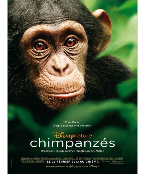 Chimpanzés AFFICHE CINEMA ORIGINALE État correct N/A reconditionné disponible sur Fnac