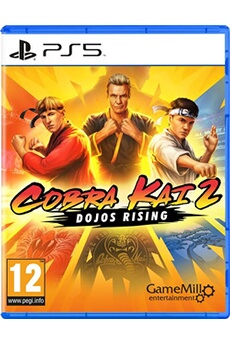 Cobra Kai 2 Dojos rising PlayStation 5 Très bon état Just For Games reconditionné disponible sur Darty