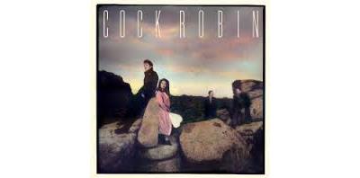 Cock Robin - Expanded Edition État correct - 52,99 € Cock Robin - Expanded Edition État correct reconditionné disponible sur Fnac