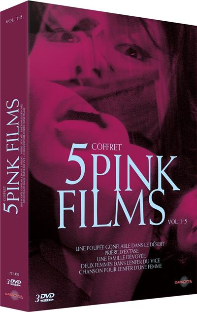 Coffret 5 Pink Films DVD État correct - 35,73 € Coffret 5 Pink Films DVD État correct reconditionné disponible sur Fnac