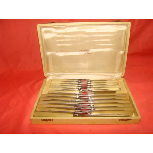 Coffret De 12 Couteaux De Table Et 12 Couteaux À Fromage Lame Inox , Manche En Os Bon état reconditionné disponible sur Rakuten