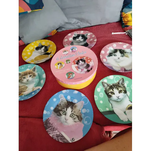 Coffret De 6 Assiettes À Dessert occasion reconditionné disponible sur Rakuten