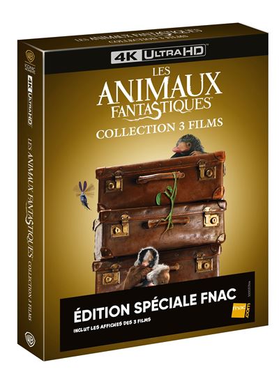 Coffret Les Animaux Fantastiques 1 à 3 Édition Spéciale Fnac Blu-ray 4K Ultra HD État correct reconditionné disponible sur Fnac