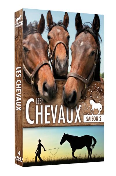 Acheter Coffret Les Chevaux Saison 2 DVD État correct - 16,00 € Coffret Les Chevaux Saison 2 DVD État correct reconditionné disponible sur Fnac