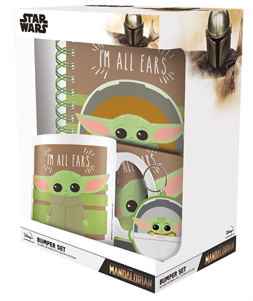COFFRET MUG PORTE CLE SOUS VERRE CARNET A5 MANDALORIAN État correct reconditionné disponible sur Fnac