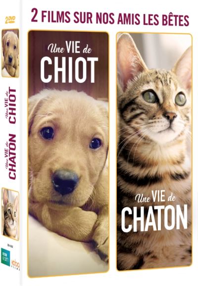 Acheter Coffret Nos animaux de compagnie DVD État correct - 16,90 € Coffret Nos animaux de compagnie DVD État correct reconditionné disponible sur Fnac