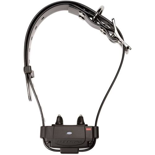 Collier anti-fugue - CANIFUGUE FUG1034 - Noir État correct N/A reconditionné disponible sur Fnac