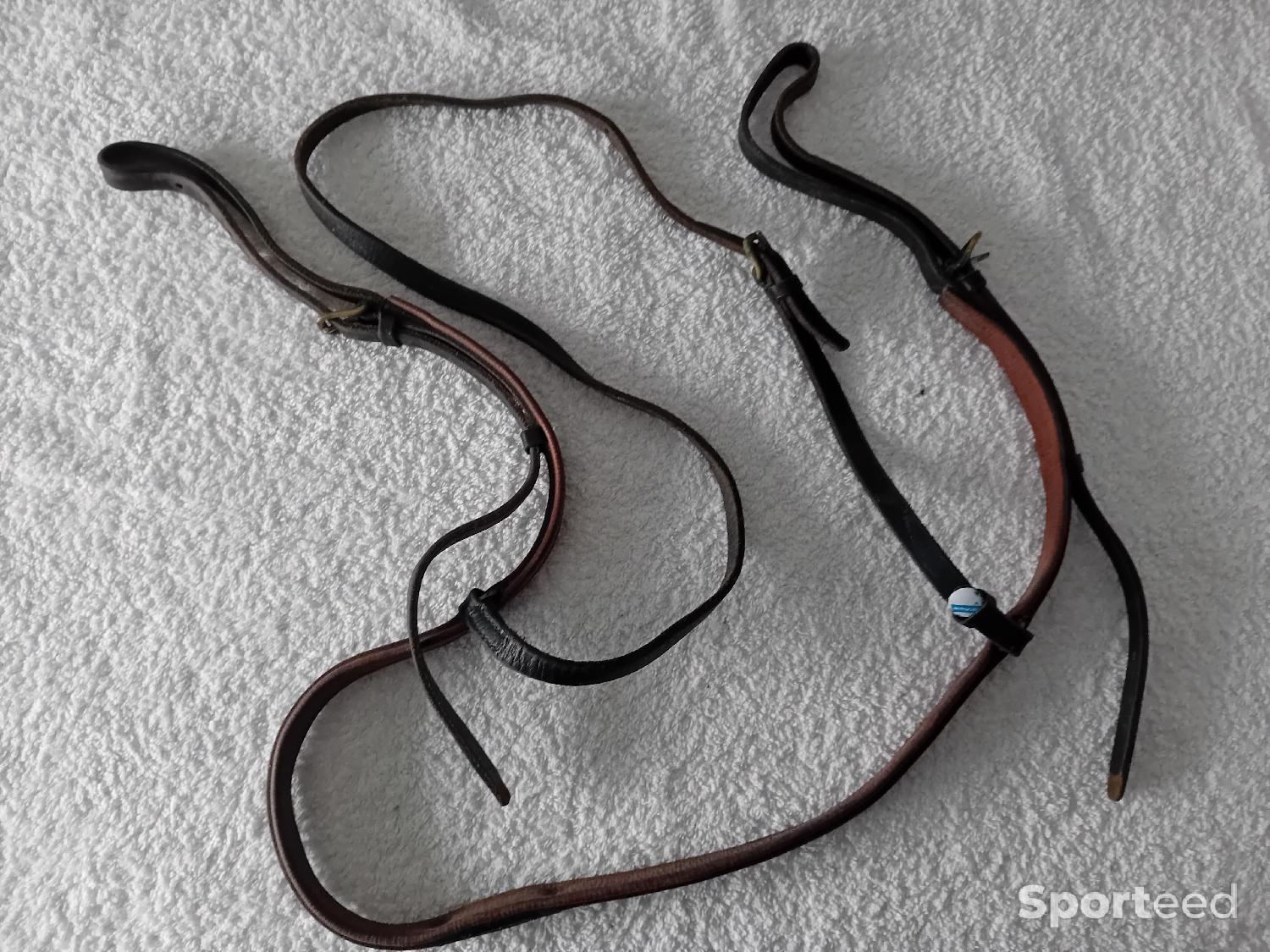 Collier de chasse Très bon état reconditionné disponible sur Sporteed