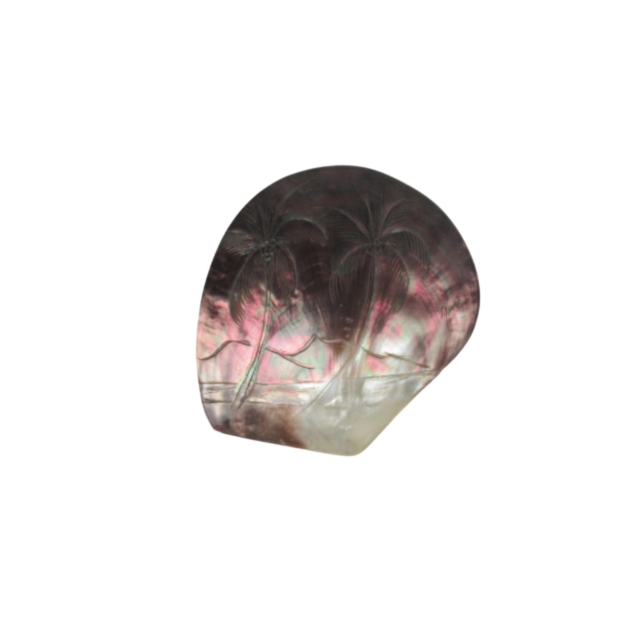 Acheter Coquillage nacre Tahiti Très bon état - 10,00 € Coquillage nacre Tahiti Très bon état reconditionné disponible sur Label Emmaüs