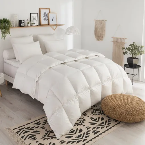 Couette Duvet Tradition Tempérée - 70% Duvet D'oie 240x260 Cm Bon état reconditionné disponible sur Rakuten