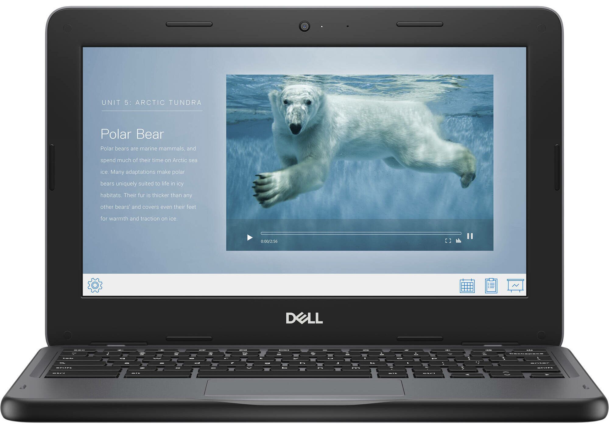Dell Chromebook 3110 N4500 11.6" 4 GB 32 GB eMMC Webcam Chrome OS FR Très bon état Dell reconditionné disponible sur Refurbed | Dero