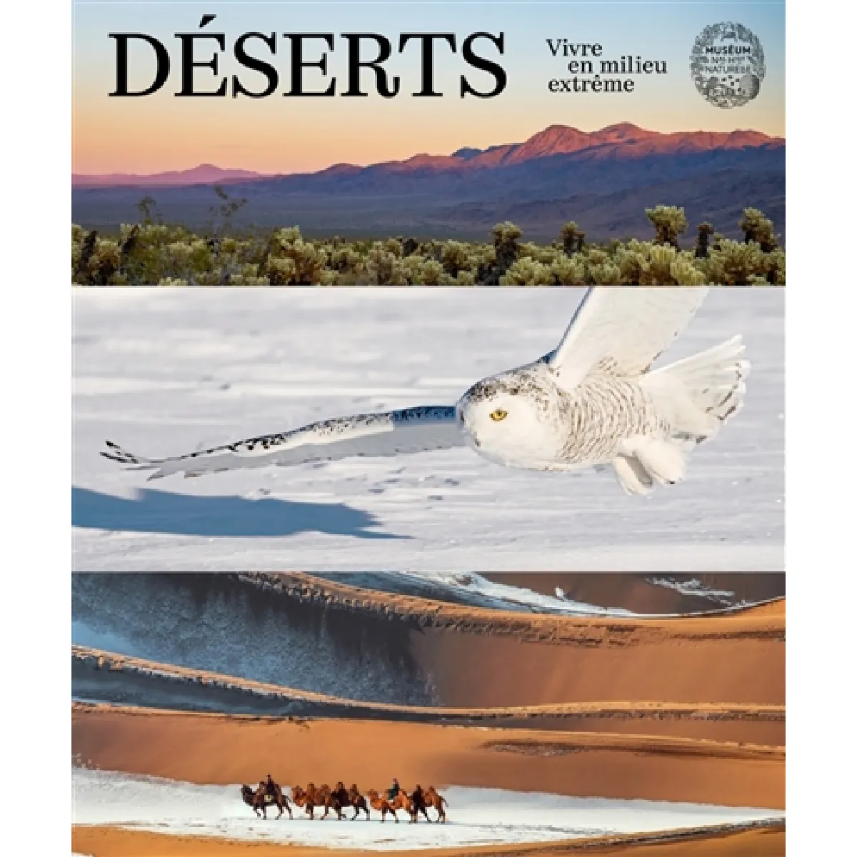 Déserts : vivre en milieu extrême État correct - 15,27 € Déserts : vivre en milieu extrême État correct N/A (Il ne s'agit pas d'une marque reconditionné disponible sur Rue du Commerce Seconde Vie