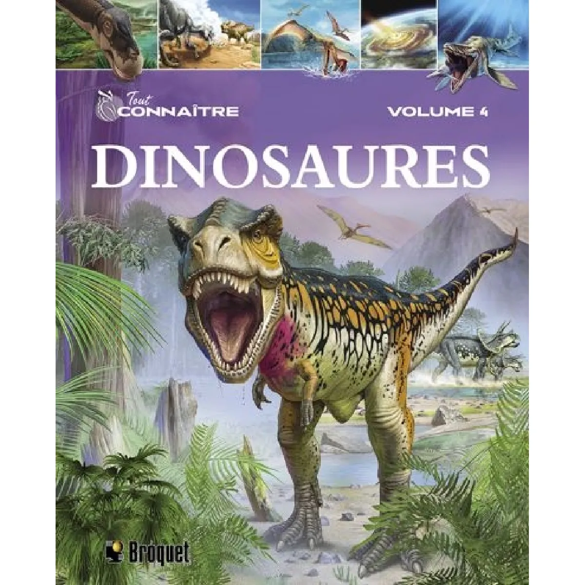 Acheter Dinosaures État correct - 14,08 € Dinosaures État correct N/A (Il ne s'agit pas d'une marque reconditionné disponible sur Rue du Commerce Seconde Vie